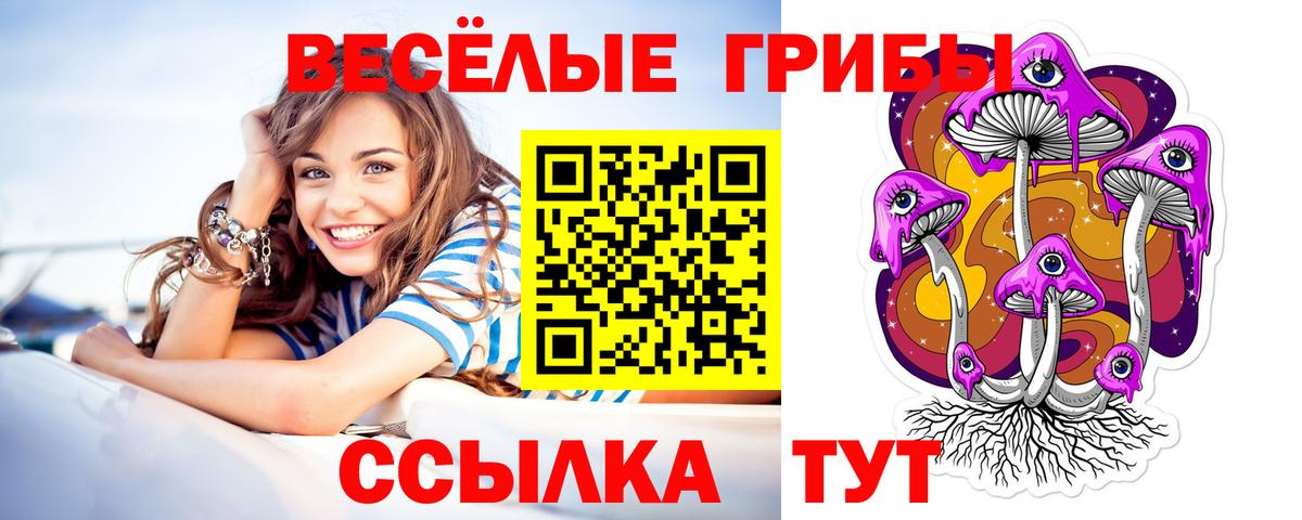 Галлюциногенные грибы Psilocybe Волхов